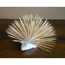3D Egeltje 3D Egeltje